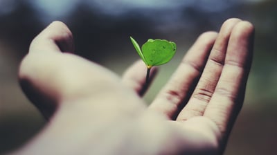 Elevate Your Holidays: Harnessing the Power of Growth Mindset