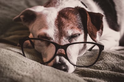 Breaking Free: Why It's Never Too Late to Rewrite Your Life Story